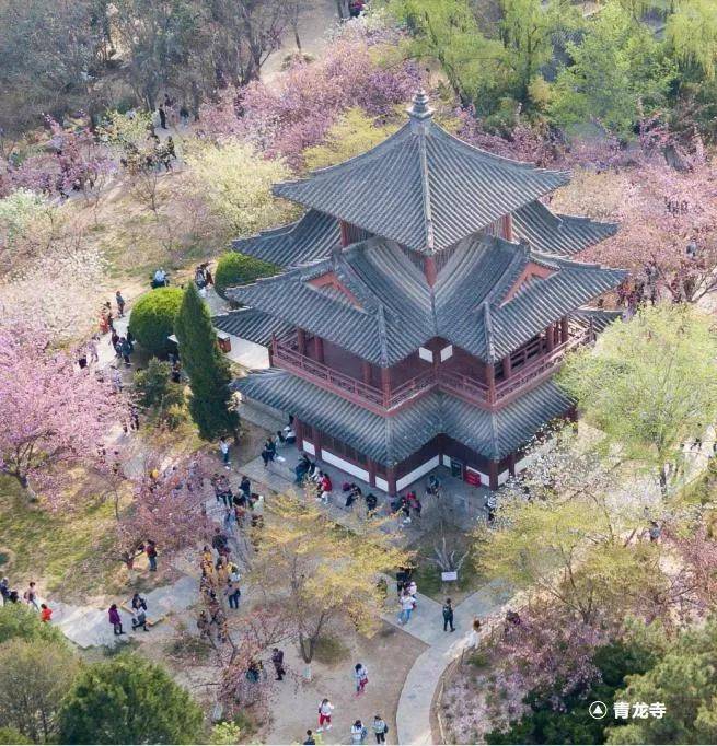 雁塔区吹响产业发展“冲锋号” 加快建设全国一流社会主义现代化新城区_优势