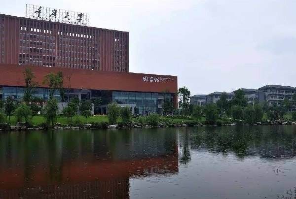 重庆大学世界排名_重庆大学排名(3)