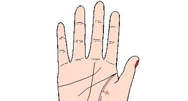 手相 生命线短 有什么特殊的意义 金星