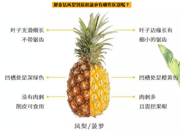 菠萝怎么搭配外搭_菠萝怎么画(2)