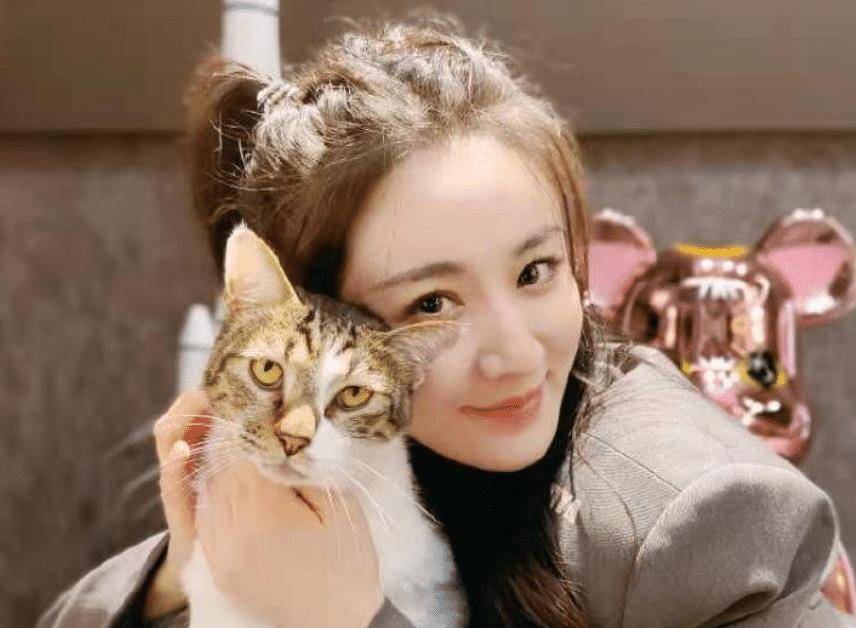 中国演员财富排行榜_中国富豪榜2021排行榜:内地富豪财富排名对比(2)