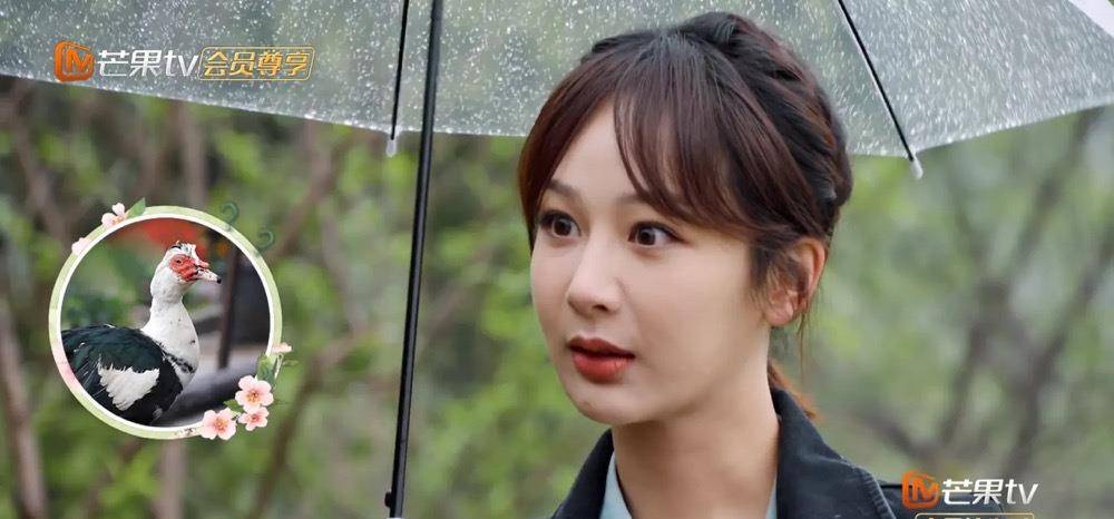 《向往5》杨紫太真实,她拖着行李箱越走越累,还没干活就想回家_生活