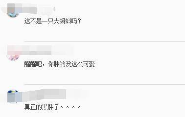 什么什么余生成语_往后余生图片(2)