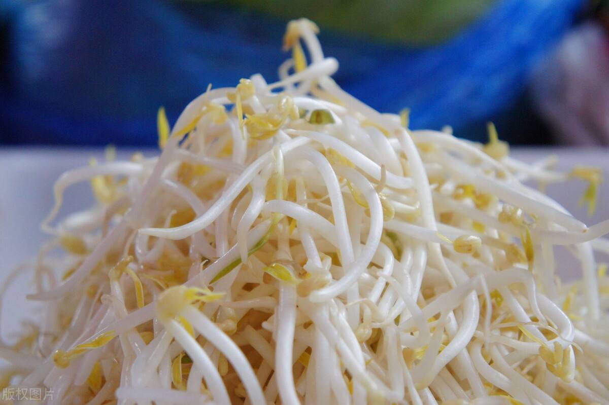 黃豆芽還是綠豆芽？哪個更好吃？ 熱愛美食 第5张