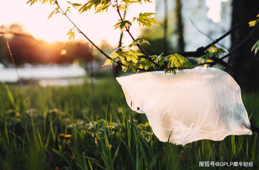 嘉澳环保虚减净利润被罚100万 财务总监被罚