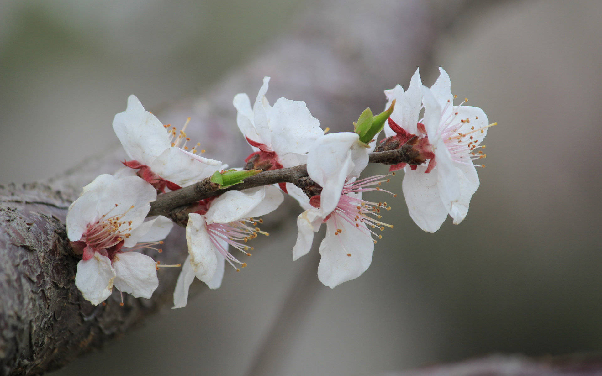5月日星座运势 不甘平庸 放手一搏的四大星座 生活
