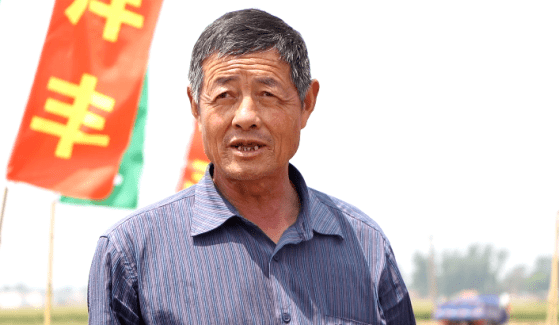 新洋丰探秘重茬大蒜喜获丰收的法宝