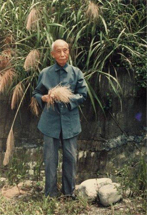 西藏最大的高僧是谁 c44088a62a794f179d1df5cf74eecc87.jpeg
