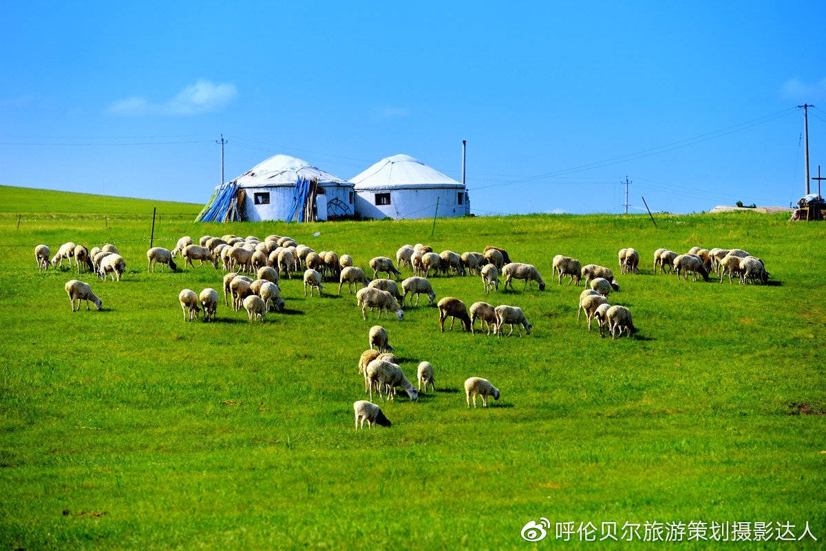 毕业旅行之呼伦贝尔大草原