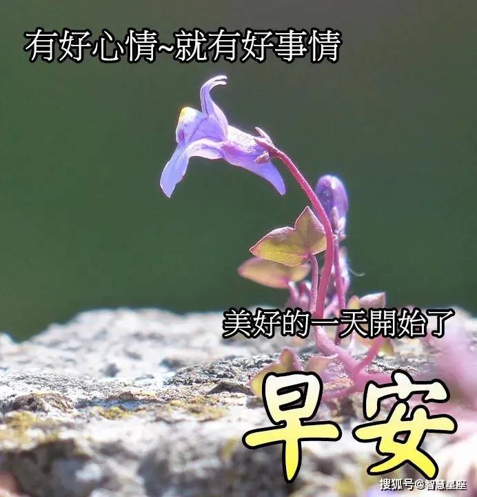 2021年5月23日星期天清晨早上好问候祝福动态表情图片