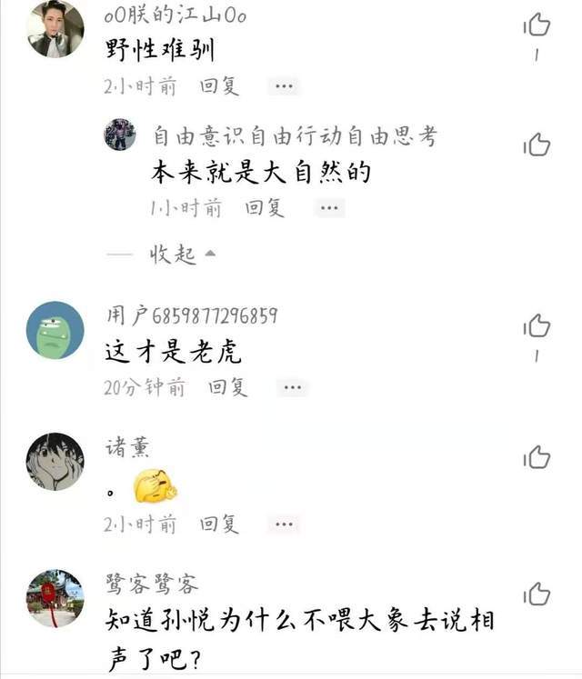 饲养员简谱_饲养员卡通