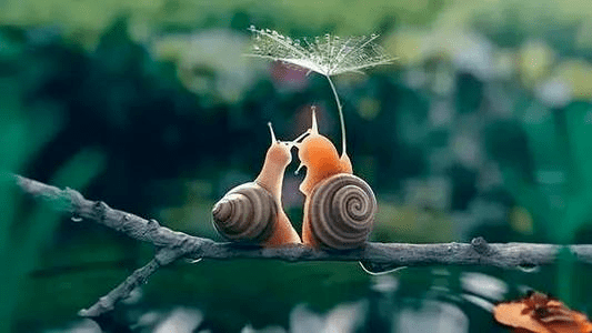 829b8440903540ff8f6643cd68b81923.png