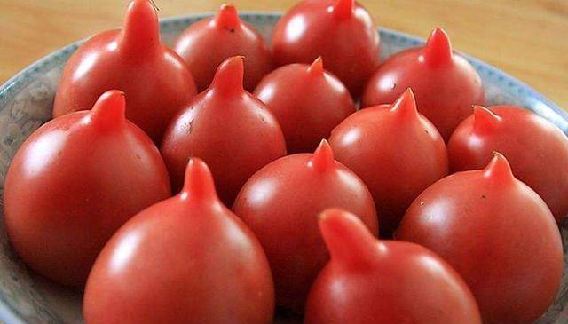 原创打了催熟剂的西红柿怎么辨认只要符合这4个特征再便宜也别买