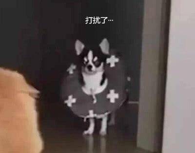 63a6929bbdbd49088817442c12fc7f7c.jpeg