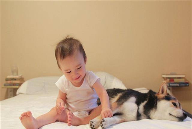 幼儿什么时候会蹦 63dfb6f8cfda46e6b3e47f1d4914a80c.jpeg