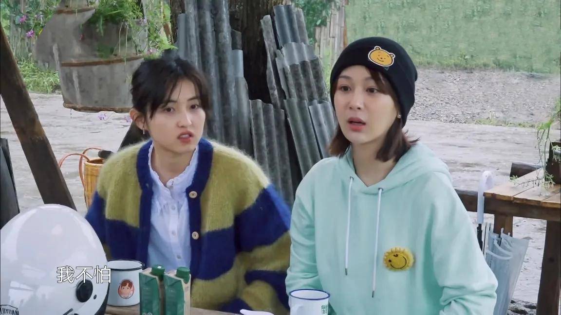 原创向往的生活:团宠杨紫,留下来常驻吧
