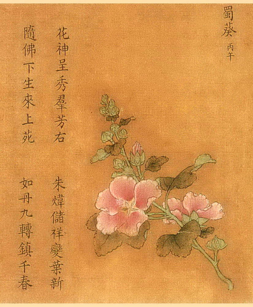 馆藏珍萃 杨婕妤 百花图卷 典型的南宋院体画 荷花