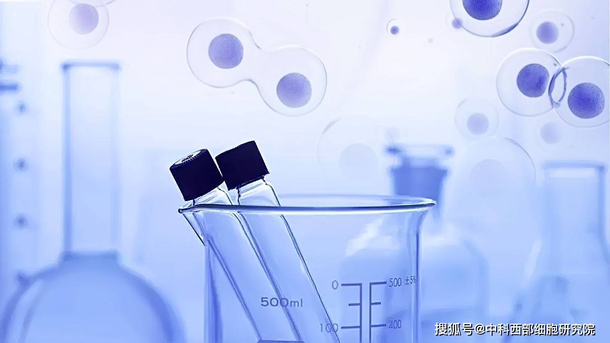 二型糖尿病可以喝的功能饮料 c9d1a8b56be74a50b9b6f304cb9e8337.jpeg