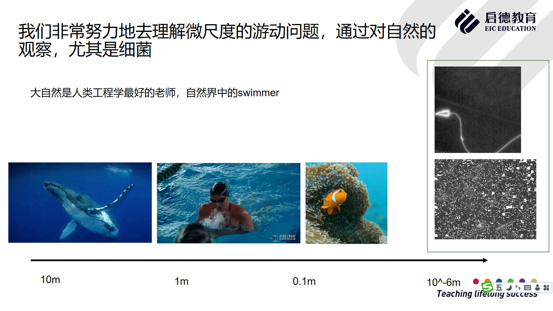 生物|美国留学：兴趣、想象力和好奇心是驱动科研的最大动力