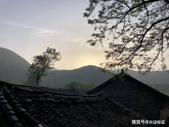 老话说家中最怕出三土子不孝顺妻不贤三土指的是啥