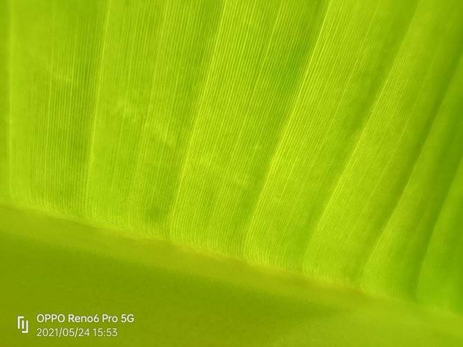 评测|OPPO Reno6 Pro评测：手感振感全系升级的自拍旗舰