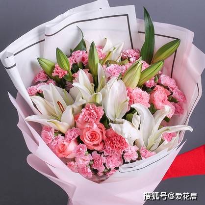 收到的百合花束怎么养 来看看正确的百合处理办法 商品