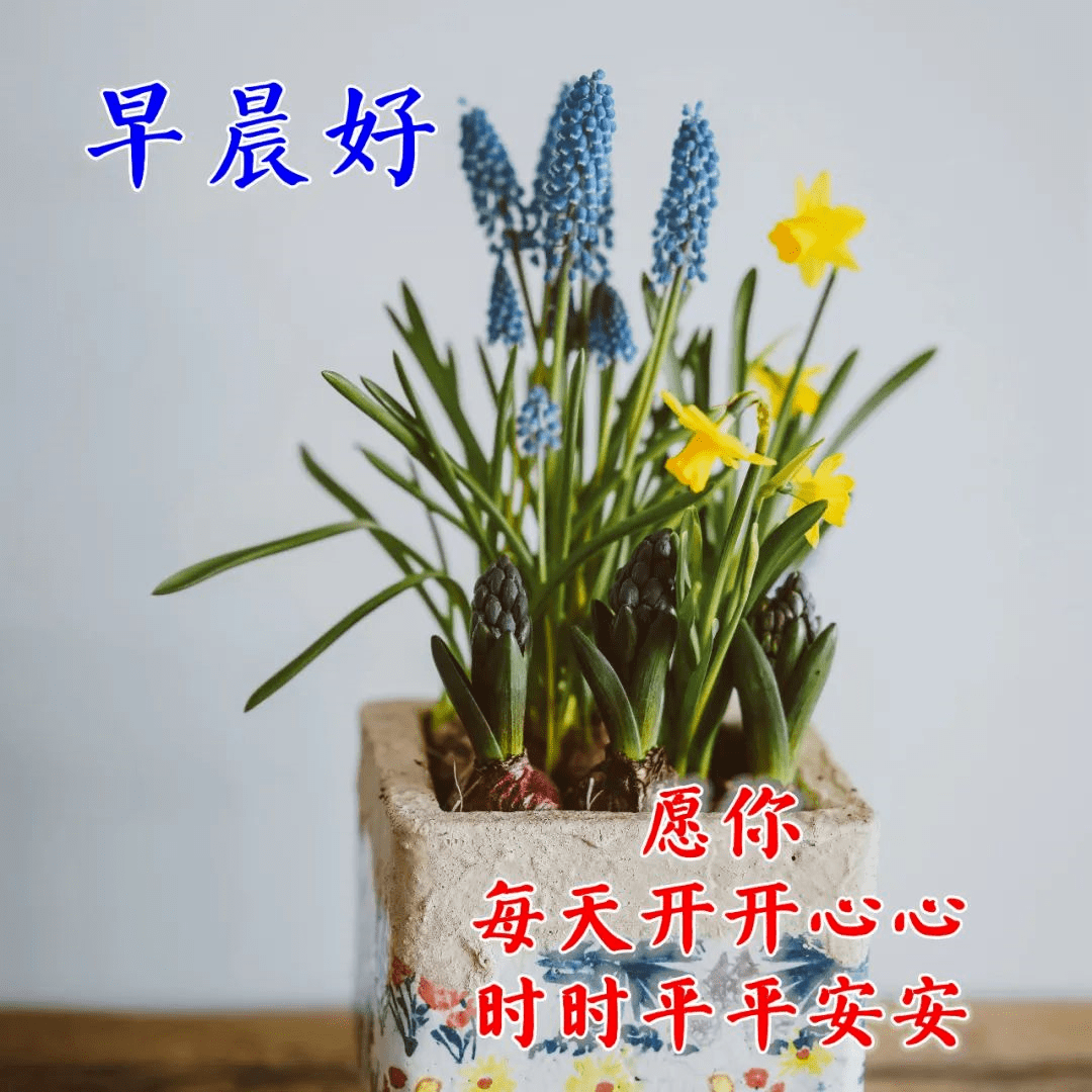 早上好精选温馨祝福词句带字图片,祝你今天有个好心情,早安