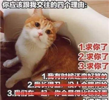 e0dce821a67d4986b2bba590930f1acb.jpeg
