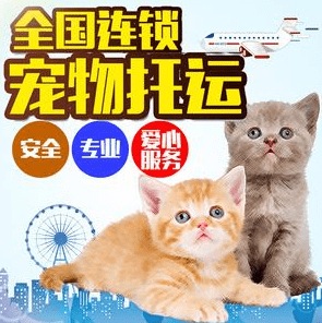 30d7b604fd0843ed88d1d30effee2c8b.png