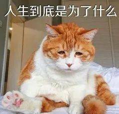 58561d74a7ba464fb3d7c9f596f97830.jpeg