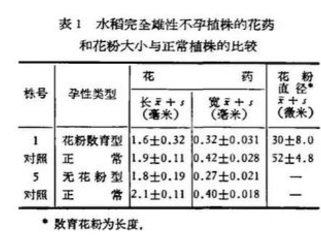 55年前袁隆平首篇4页的论文 却让几亿人吃饱饭 改写了水稻的历史 深度解析 植株