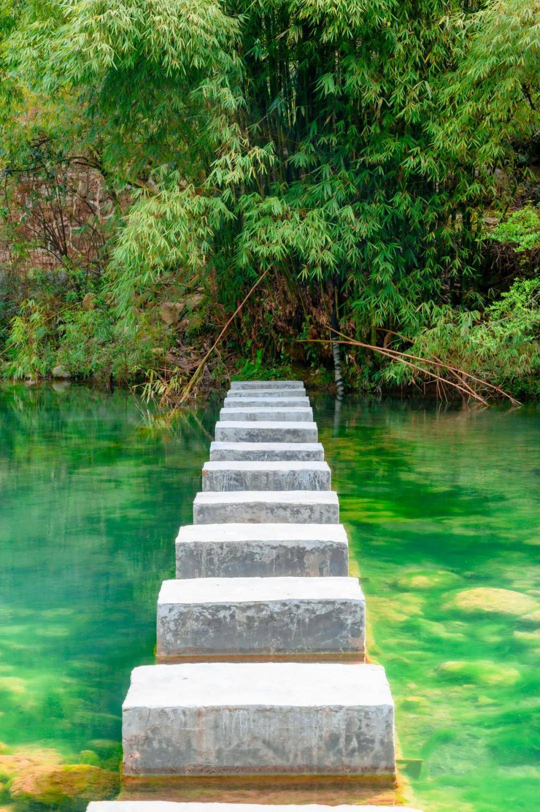 绿树浓荫夏日长 可以去巴山大峡谷避暑玩耍啦