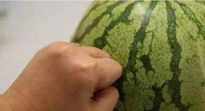 1064d8a4c1604c7191df0b9ea0786e3e.jpeg