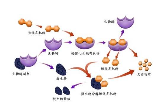 物理除臭劑、化學除臭劑、生物酶除臭劑、植物除臭劑優缺點對比 科技 第3張