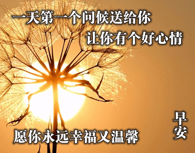4e1f1e8783b04c8bbe92575907848b82.png