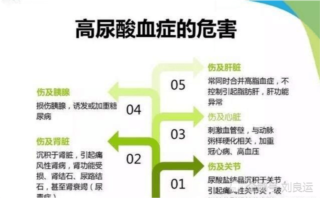 4312個字整理15個尿酸高的原因9條改變生活降尿酸建議請收藏