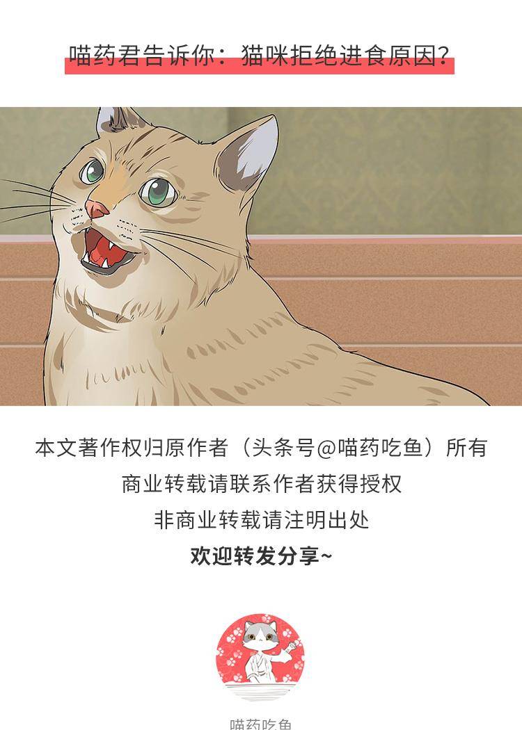 006ee2f7c99945d88ca4c86f06aba2e2.jpeg
