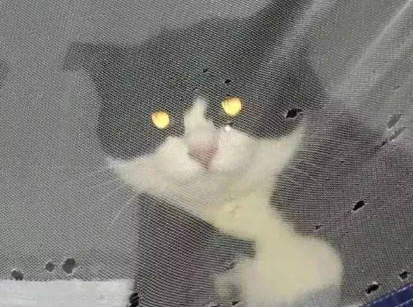 3b5c6728d78347378b57109d7da771b0.jpeg