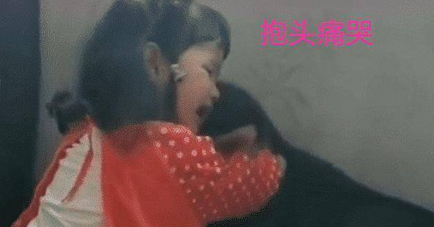 小主人被揍，小主人找狗狗幫忙，狗狗看了女主一眼表示：無能為力 萌趣萌寵 第3张