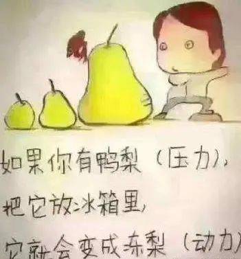 02a6b7eae11e435fb297edfd9e522a97.jpeg