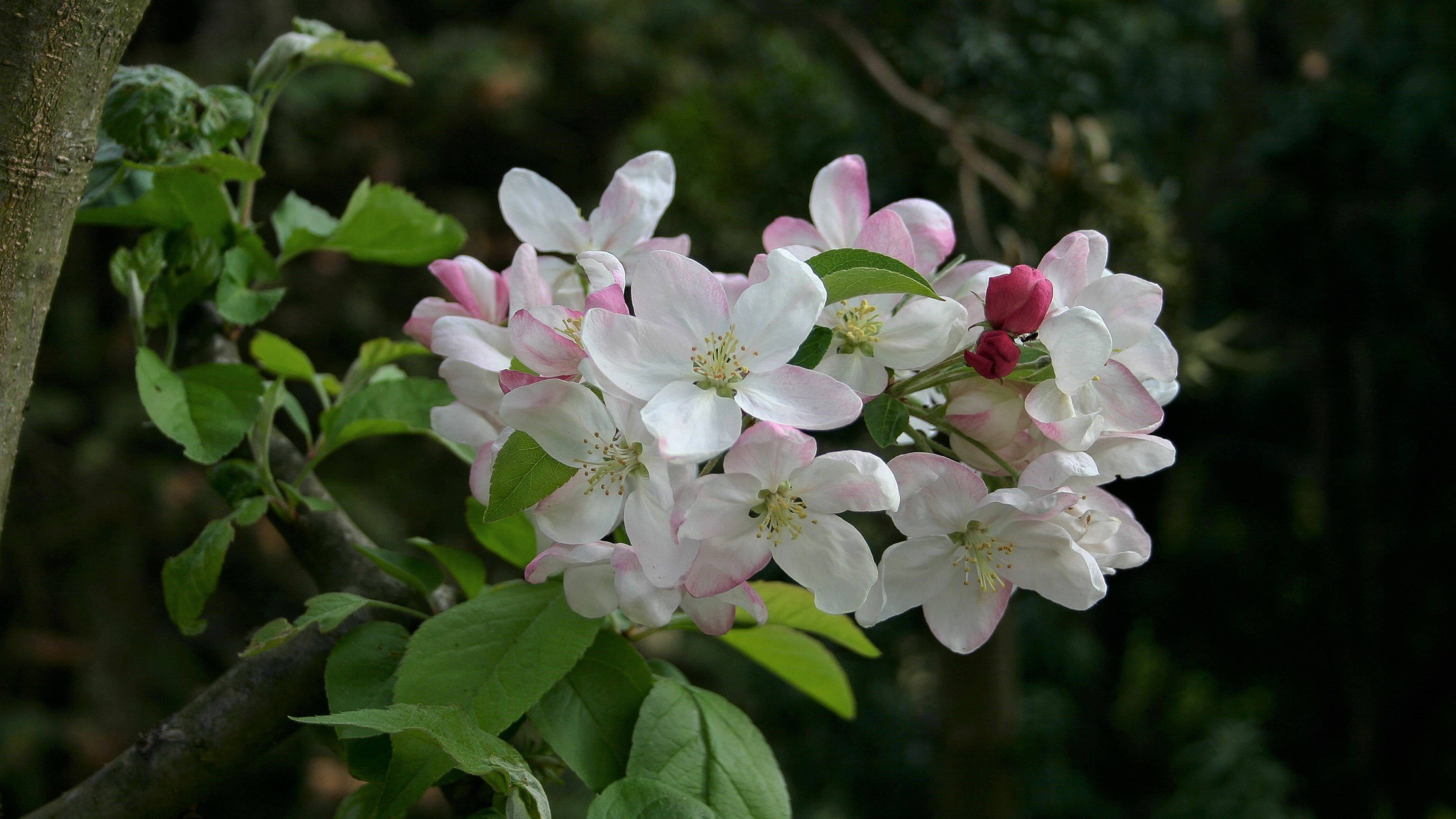 6月4日 8日星座运势 金牛明确目标 天蝎小心谨慎 摩羯脚踏实地 未来