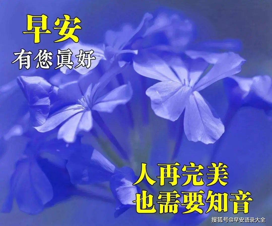 2021清晨新版风景早安问候图片朋友圈最美早安祝福语图片合集