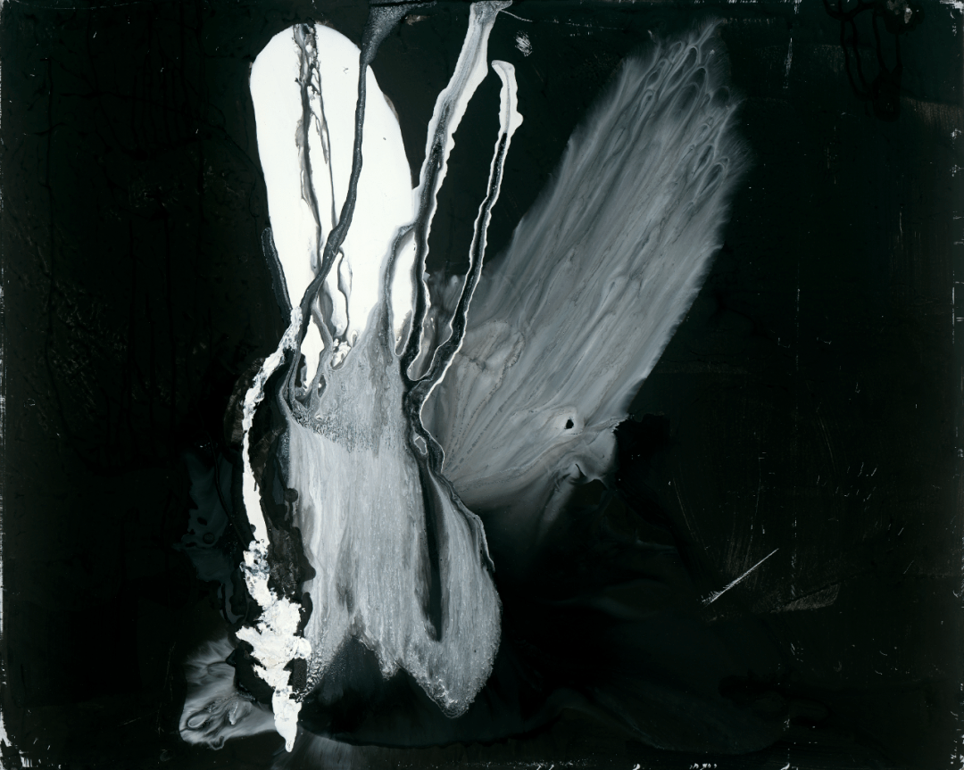 非常形霜凝抽象艺术新作展