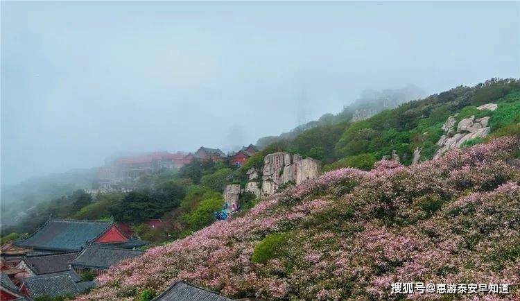 西湖喷泉曲谱完整版_杭州西湖夜景喷泉(3)