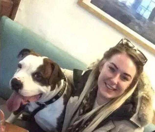 老板斗牛犬撕碎员工小孩 曾多次咬人被无视 主人只是给狗戴口罩 弗兰基