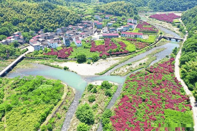 被流放几百年后,现将迁回故土!_洋店