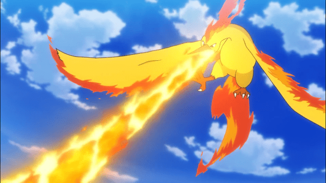 原创宝可梦小茂回归疯狂嘲讽小豪水君你看看火焰鸟这才叫做神兽