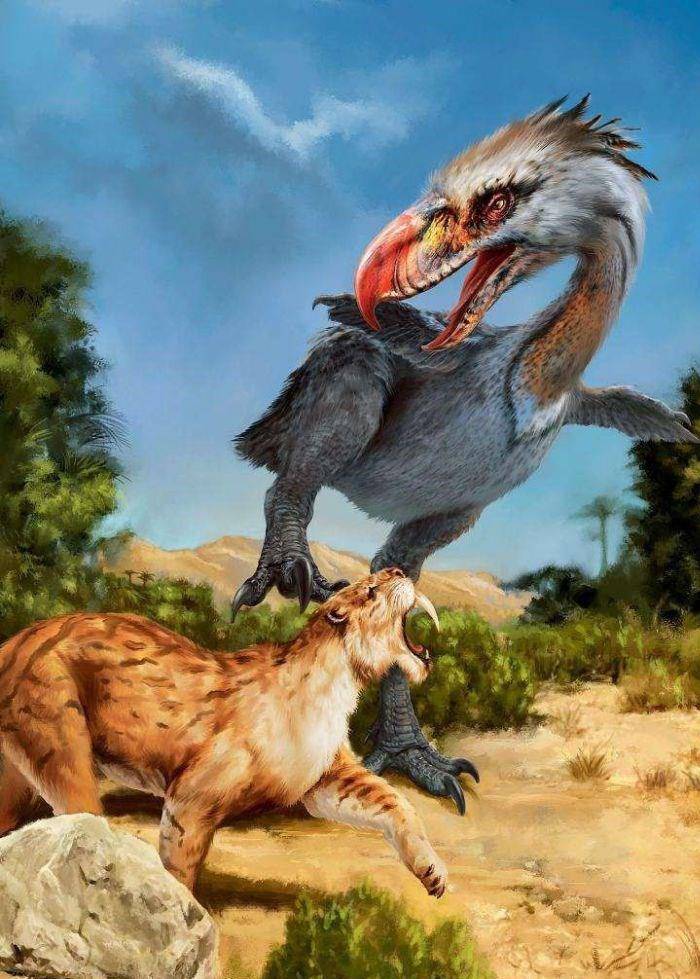 恐龙灭绝后的第一个千万年内,地球上是大型鸟类和陆栖鳄类称王称霸的