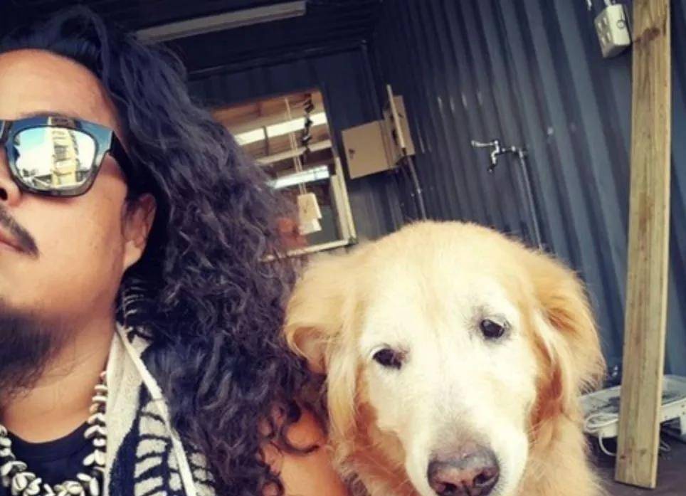 梦境的奇妙旅程,从金毛犬的追逐到友情的诞生 梦境的奇妙旅程,从金毛犬的追逐到友情的诞生