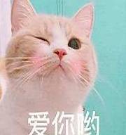 04a2809450b044c5b8c9815f86726b2e.jpeg